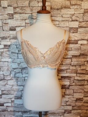 Deyllo Sheer Lace Embroidered Underwire Bra in Nude Brand New